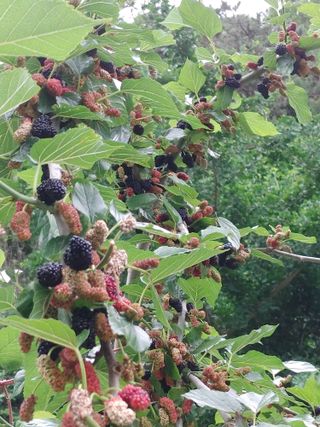 양배추15739님의 자유주제 · 자유게시판 작성글 사진