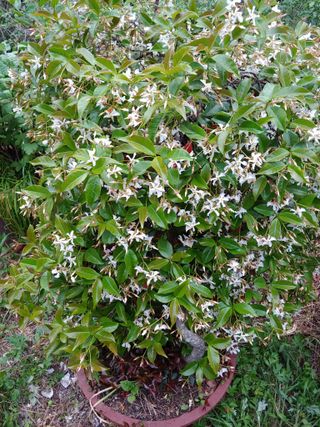 양배추15739님의 자유주제 · 자유게시판 작성글 사진