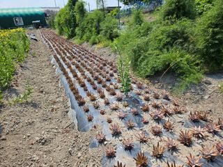 상추10383님의 자유주제 · 자유게시판 작성글 사진