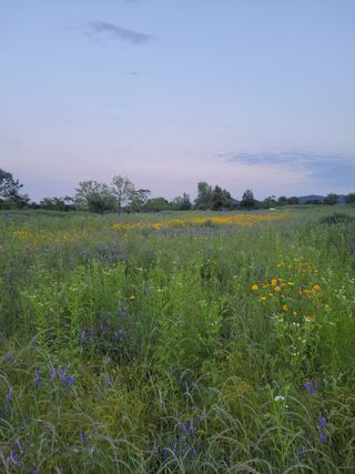윤석돈님의 콩 · 영농일지 작성글 사진
