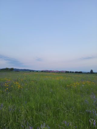 윤석돈님의 콩 · 영농일지 작성글 사진