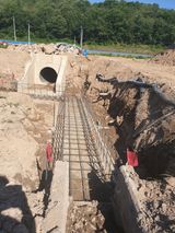 팜모닝 자유주제·자유게시판 게시글 이미지