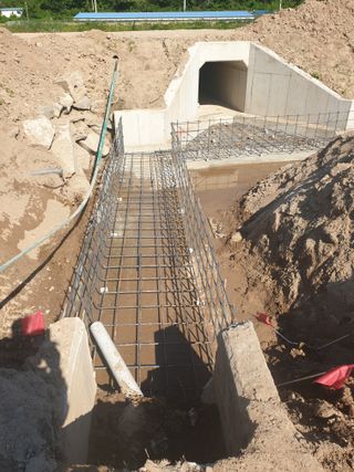 세미골곶감님의 자유주제 · 자유게시판 작성글 사진