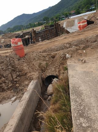 세미골곶감님의 자유주제 · 자유게시판 작성글 사진