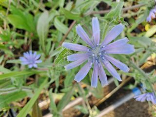 상추17741님의 자유주제 · 자유게시판 작성글 사진