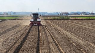 김종만님의 콩 · 영농일지 작성글 사진