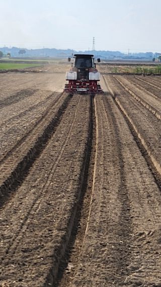 김종만님의 콩 · 영농일지 작성글 사진