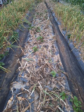 로즈마리님의 자유주제 · 자유게시판 작성글 사진