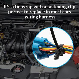 바이털사인님의 작성글 사진