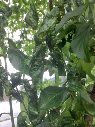 김재호님의 자유주제 · 자유게시판 작성글 사진