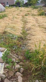 팜모닝 자유주제·자유게시판 게시글 이미지