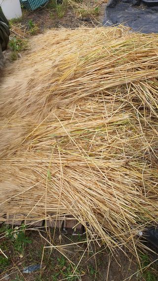 황의성님의 자유주제 · 자유게시판 작성글 사진