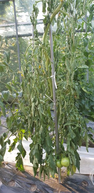 박선화님의 자유주제 · 자유게시판 작성글 사진