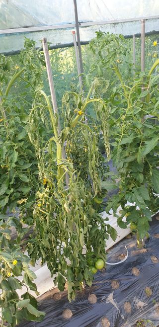 박선화님의 자유주제 · 자유게시판 작성글 사진