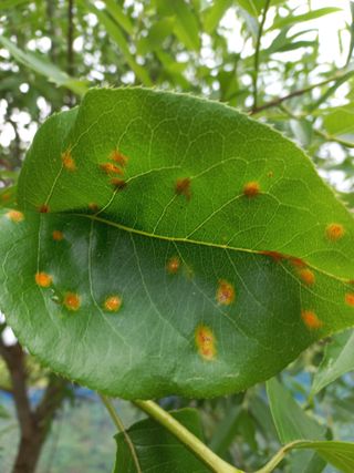 김재호님의 자유주제 · 자유게시판 작성글 사진