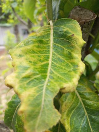 김재호님의 자유주제 · 자유게시판 작성글 사진