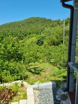 팜모닝 자유주제·자유게시판 게시글 이미지