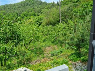 해풍맞은 맛있는 감님의 자유주제 · 자유게시판 작성글 사진