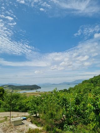 해풍맞은 맛있는 감님의 자유주제 · 자유게시판 작성글 사진