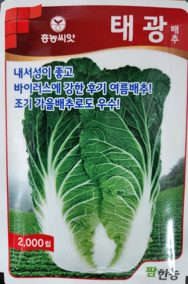 장터 상품 [태광배추씨앗 2000립 ] 썸네일
