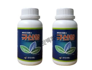 대산농사대장님의 작성글 사진