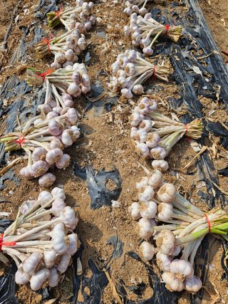 osm님의 자유주제 · 자유게시판 작성글 사진