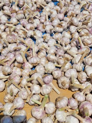 osm님의 자유주제 · 자유게시판 작성글 사진