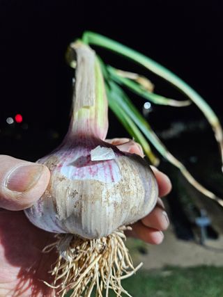 osm님의 자유주제 · 자유게시판 작성글 사진