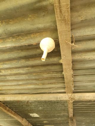 김옥자님의 자유주제 · 자유게시판 작성글 사진