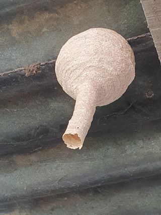 김옥자님의 자유주제 · 자유게시판 작성글 사진