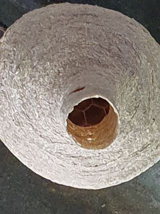 김옥자님의 자유주제 · 자유게시판 작성글 사진