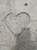 팜모닝 자유주제·자유게시판 게시글 이미지