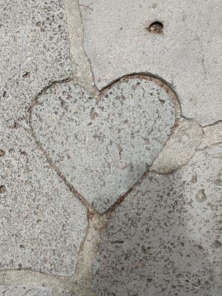 요리하는 메아리 님의 자유주제 · 자유게시판 작성글 사진