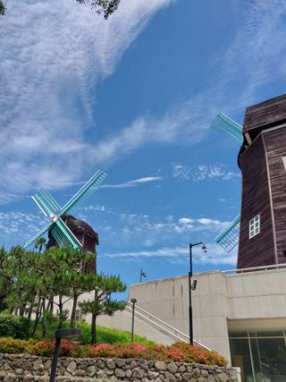요리하는 메아리 님의 자유주제 · 자유게시판 작성글 사진