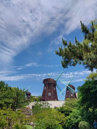 요리하는 메아리 님의 자유주제 · 자유게시판 작성글 사진