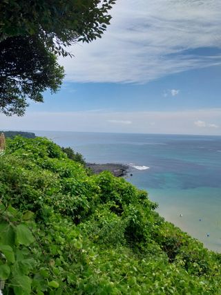 요리하는 메아리 님의 자유주제 · 자유게시판 작성글 사진