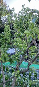 팜모닝 자유주제·자유게시판 게시글 이미지