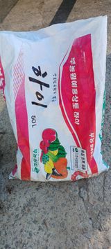 팜모닝 자유주제·자유게시판 게시글 이미지