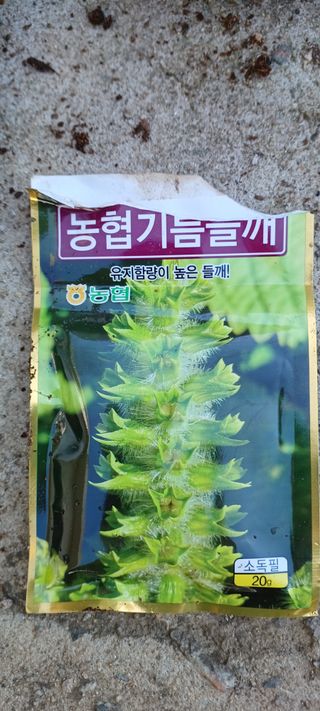 보령 게으른농부님의 자유주제 · 자유게시판 작성글 사진