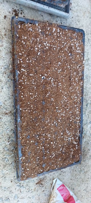 보령 게으른농부님의 자유주제 · 자유게시판 작성글 사진