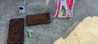 보령 게으른농부님의 자유주제 · 자유게시판 작성글 사진