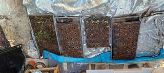 보령 게으른농부님의 자유주제 · 자유게시판 작성글 사진