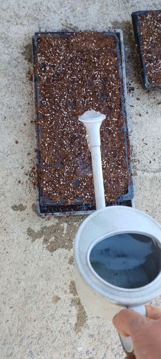 보령 게으른농부님의 자유주제 · 자유게시판 작성글 사진