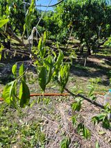 팜모닝 자유주제·자유게시판 게시글 이미지