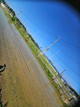 팜모닝 6월 농사계획🧑🏻‍🌾·참여글 게시글 이미지