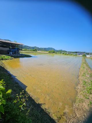연승흠님의 6월 농사계획🧑🏻‍🌾 · 참여글 작성글 사진