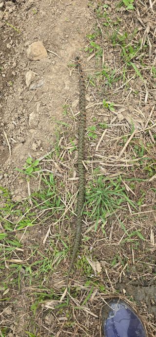 박성준님의 자유주제 · 자유게시판 작성글 사진