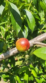 팜모닝 자유주제·자유게시판 게시글 이미지