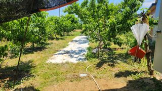 김호영님의 자유주제 · 자유게시판 작성글 사진