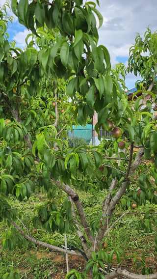 김호영님의 자유주제 · 자유게시판 작성글 사진